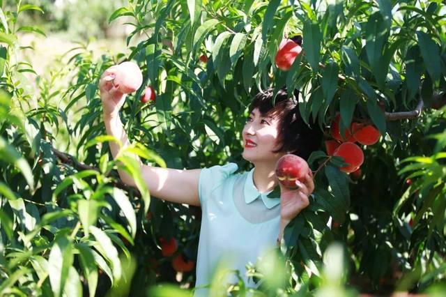 母子电影 母电影一位女性为给父亲还债