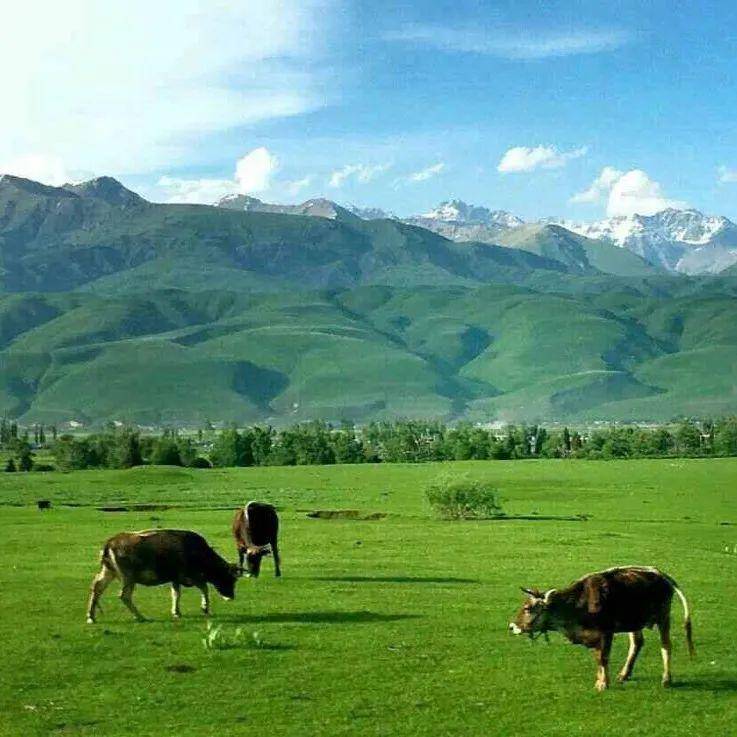 番号鸽男同漫画