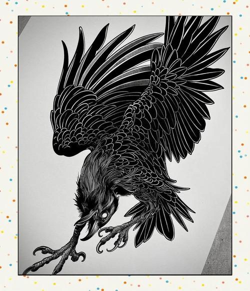 jy视频 中国大学MOOC等)的视频视频