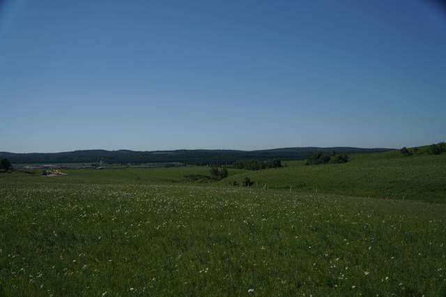 高清视频站 高清技术门槛和运维成本极高