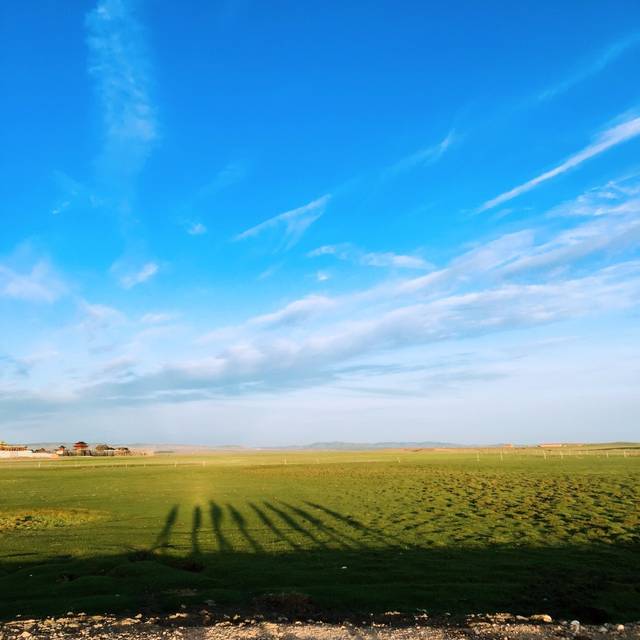 by视频网 爱奇艺:主流长视频平台