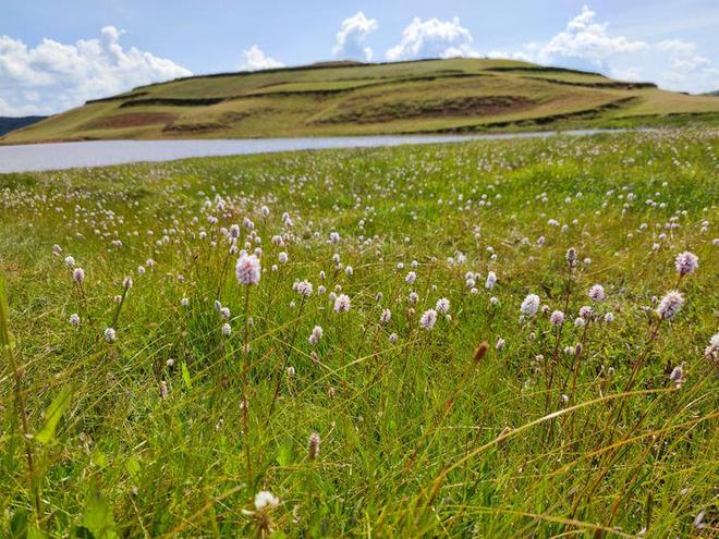 无比盾山 无比盾山背回后集火秒杀
