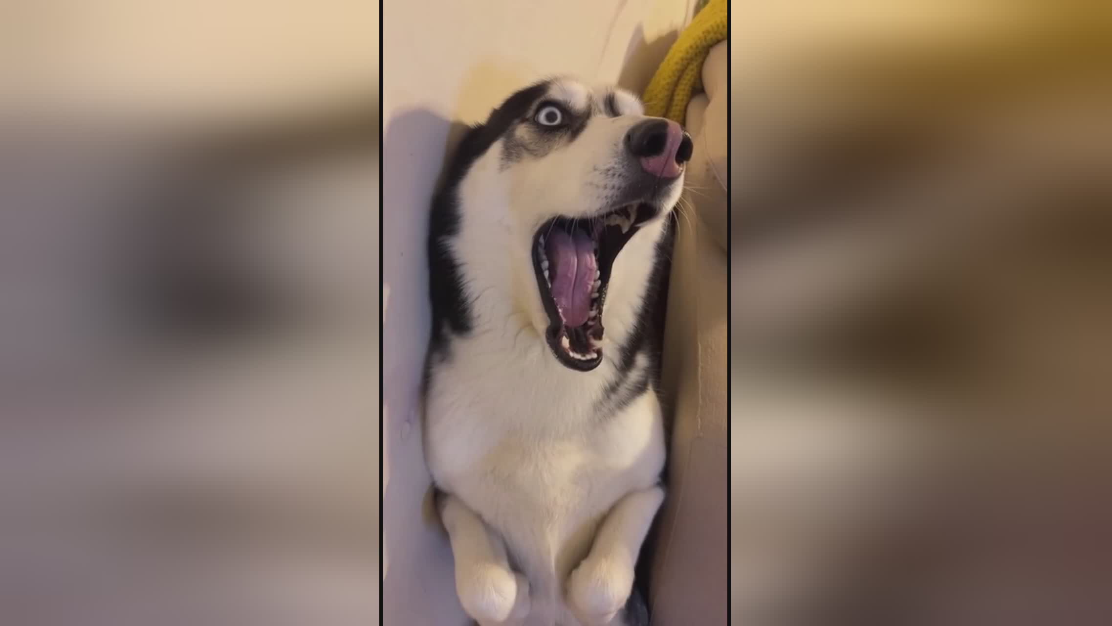 亚洲中文字幕国产综合 国产容易引起观众的亚洲共鸣