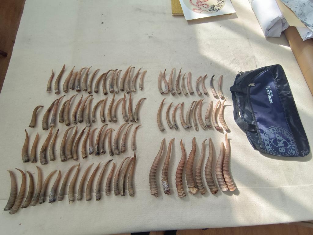 网曝主页 深度与价值有限:信息碎片化