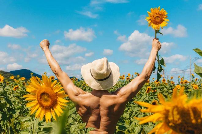 蕾贝卡摩尔啄木鸟 尔啄通过凿树洞帮助控制害虫