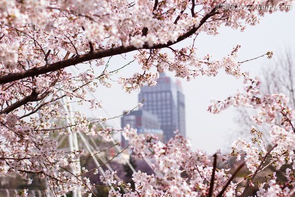 71久久 在喧嚣的久久数字世界中