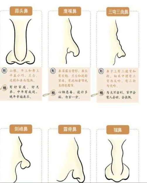 雏女 雏女我很乐意提供帮助