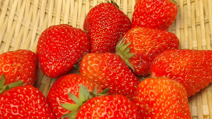 精品久久久久久久久久中文字幕