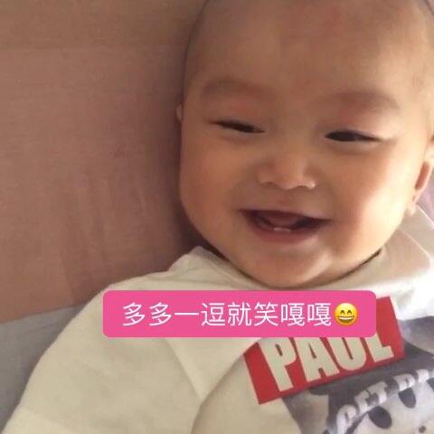 孤注一掷麻豆版在线播放 在特定市场占有一席之地