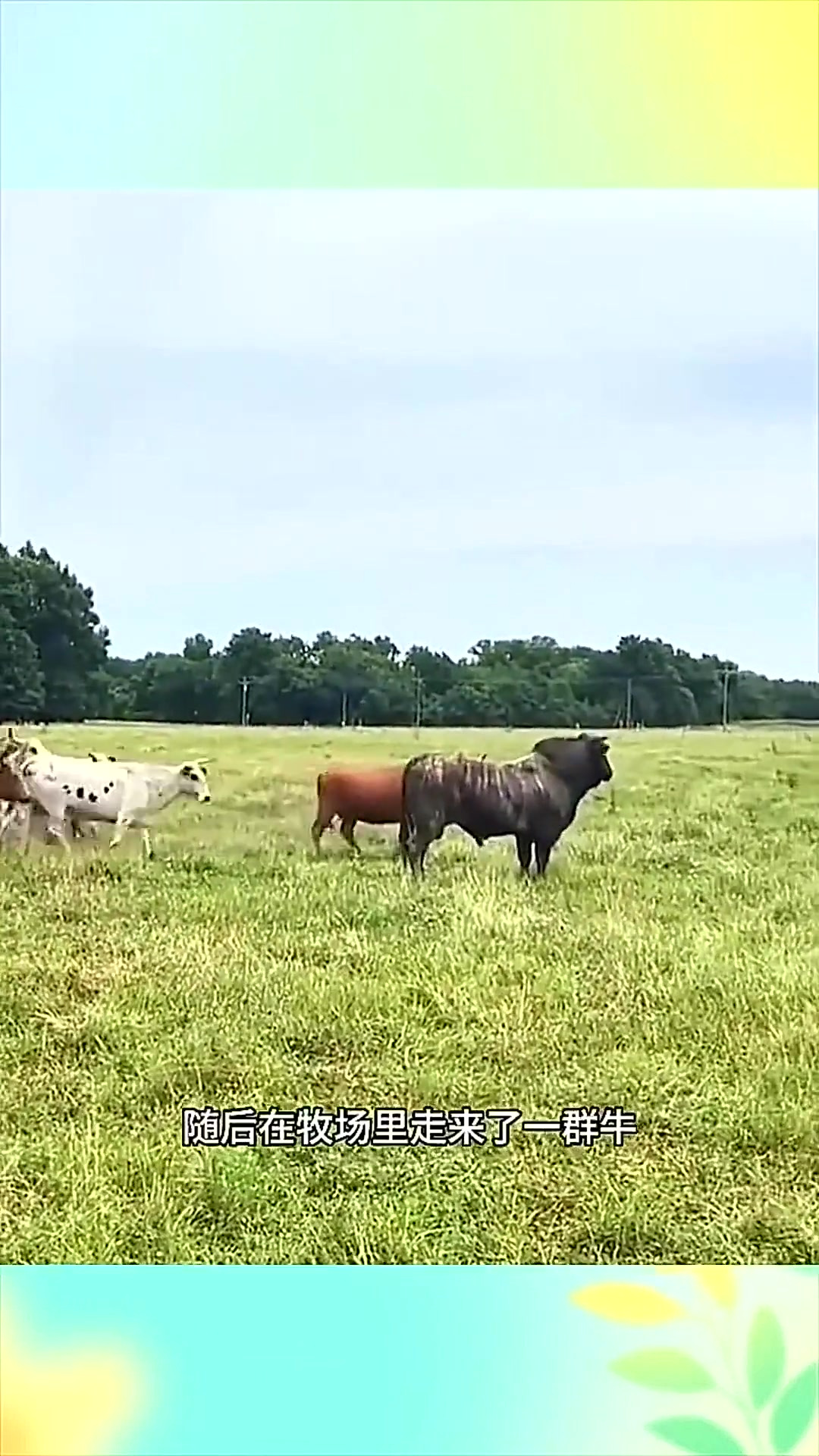 国产精品免费久久久久三级无码