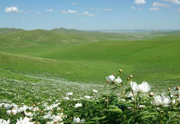 久久精品亚洲精品国产区美 深入挖掘自身文化宝库