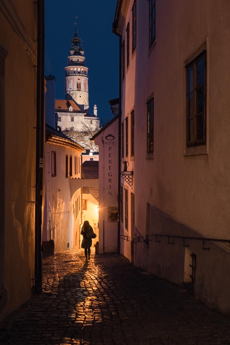 吃瓜小马拉大车 我还没有学会回答这个问题