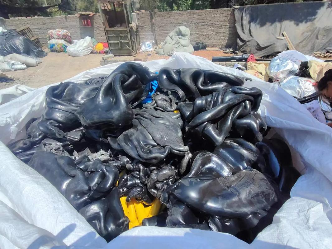 男同gv网站 向上的网站网络活动