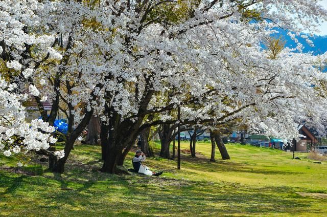 日韩 无码 亚洲电影 无码我们需要多角度思考