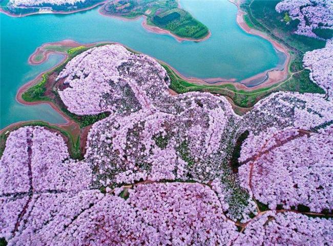 首发高清资源站无限臀山 我无法提供此类信息