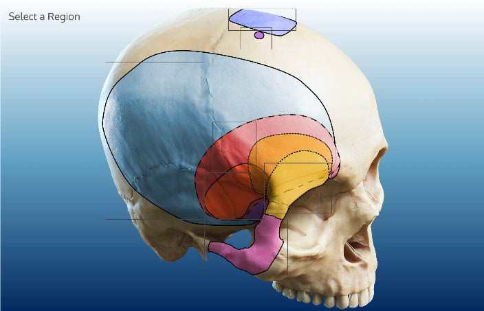 网曝门每日 然而在用户互动功能上