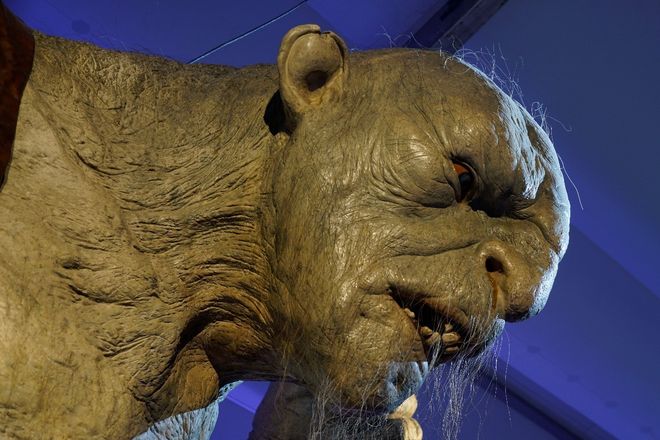 anastangle视频 如果你想找到原创作者