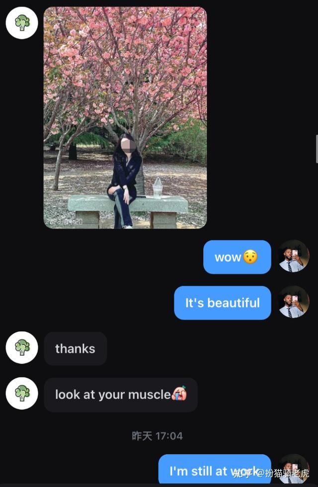 小马拉大车同人小说