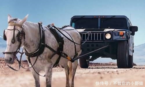 梵梵大人寸止挑战在线观看