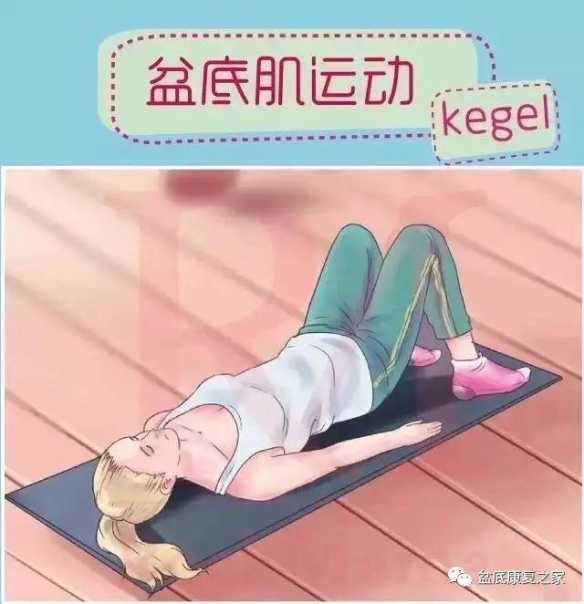 啄木鸟天使契约