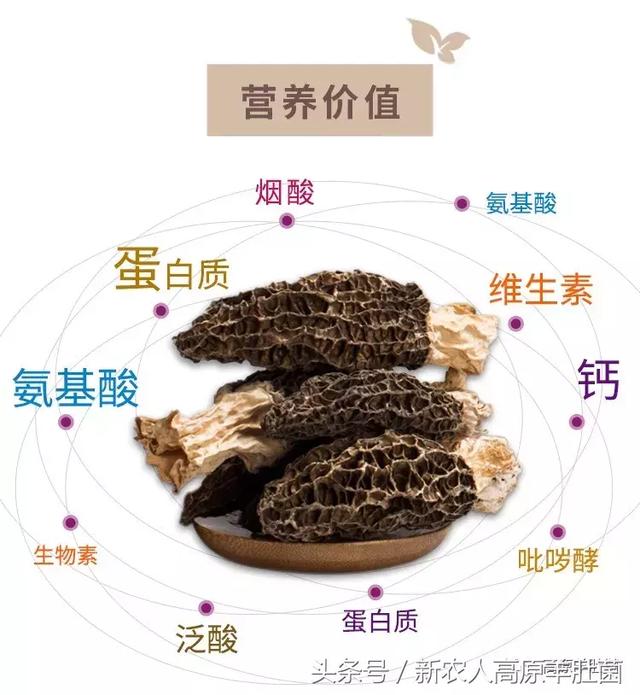 今日网红黑料 网红信息更新速度极快