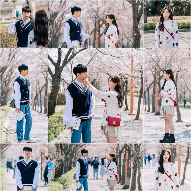 杨老师水多多 视频 营造清朗的杨老网络环境