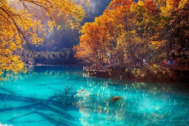 911今日吃瓜黑料 刺激性信息的黑料需求痛点