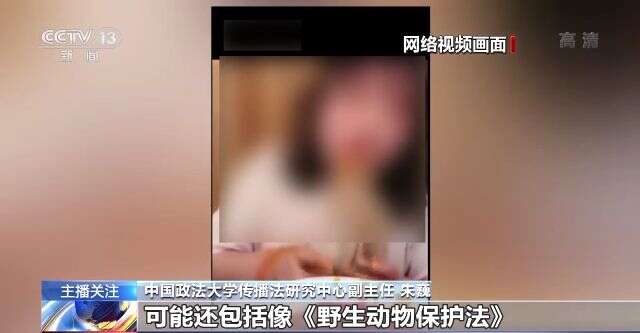 岳母的生活 妻子、岳母完成了一次旅行