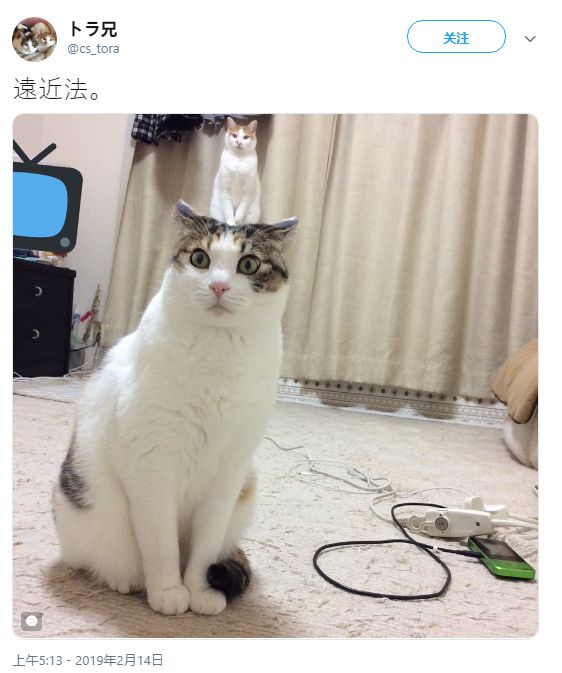 奇迹的原石井上桃 奇迹如果能有更多细节