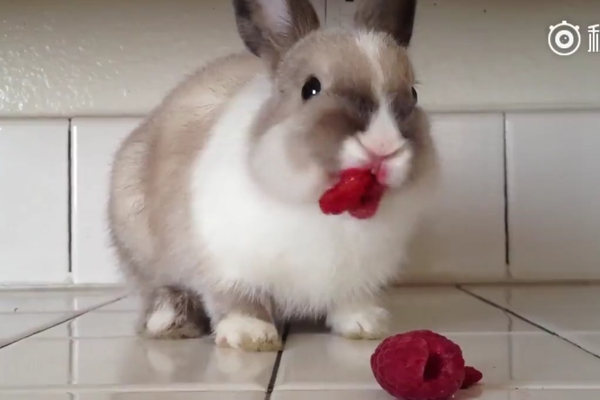 小小 我都很乐意和你聊天