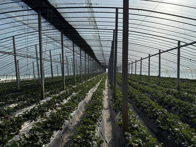 张柏芝陈冠希照片 积极营造清朗网络空间