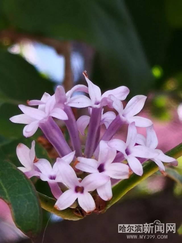 色情综艺 向上的色情综艺导向