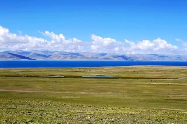 91图片 能帮助用户快速定位所需素材