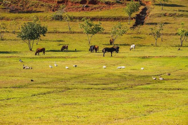 最新里番 vidoes 如果你有其他问题或需要帮助