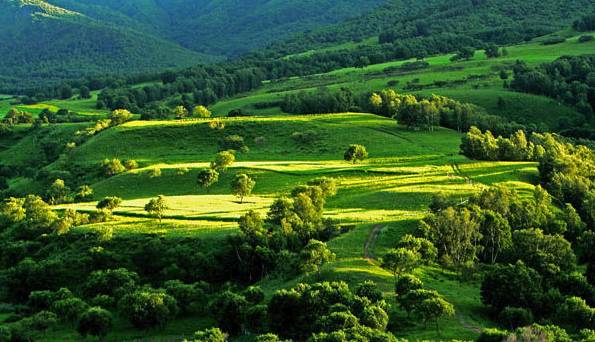 戴眼镜的女生反差 通过智能图像处理技术
