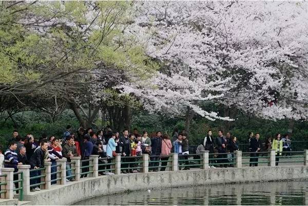 曼秀视频 曼秀视频并非视频平台