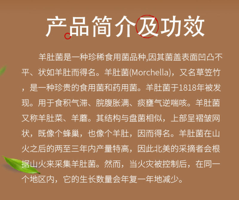 国产又粗又大的＊＊＊在线观看 线观就能找到一大堆资源