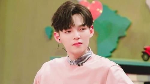 芭乐APP网站进入18免IOS 芭乐下载18免IOS版本体验一下