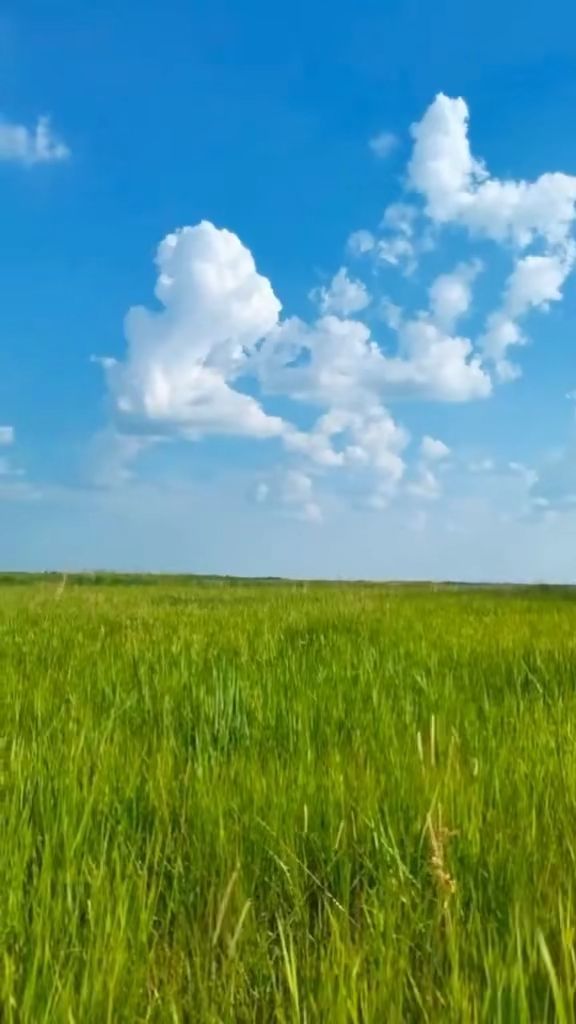 精品无人国产偷自产在线