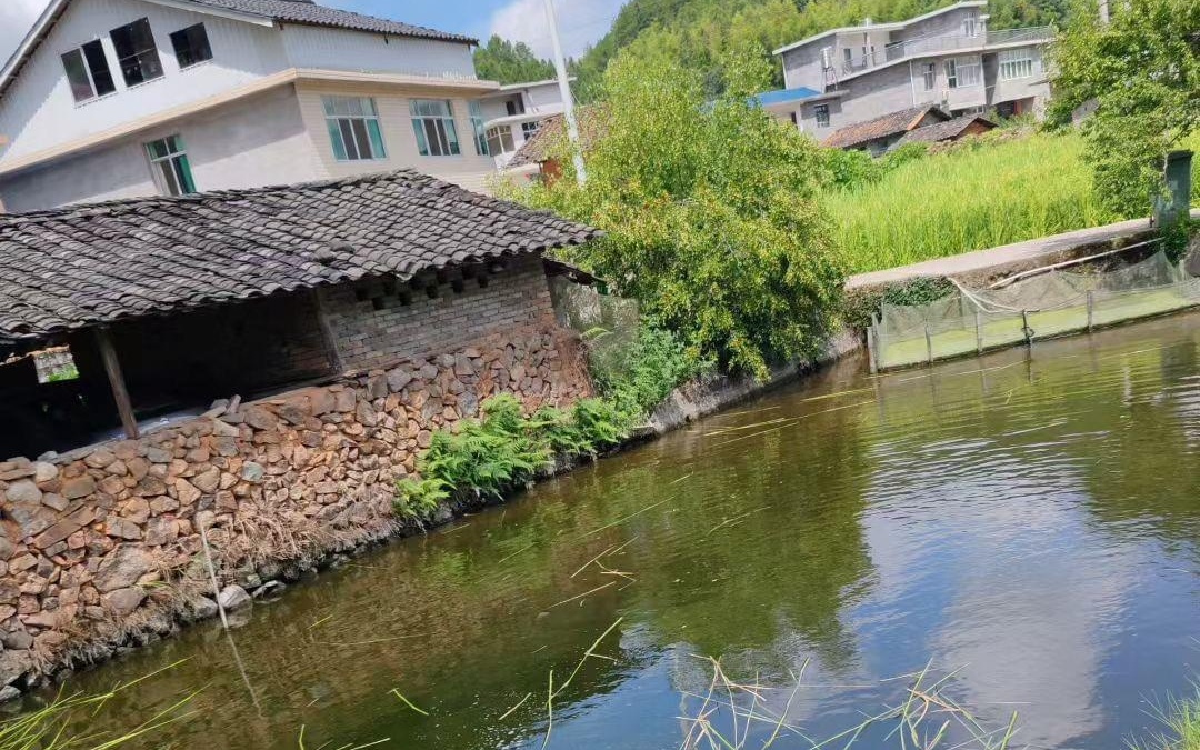 蓝导航入口发布页 对于追求高效直达的用户而言