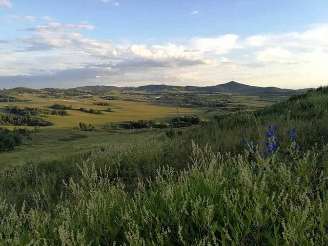 网站小马拉大车