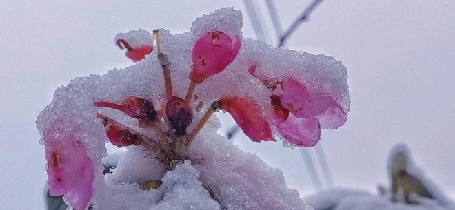 东莞市善能贸易有限公司 招标 市善司招争取进入其供应商库