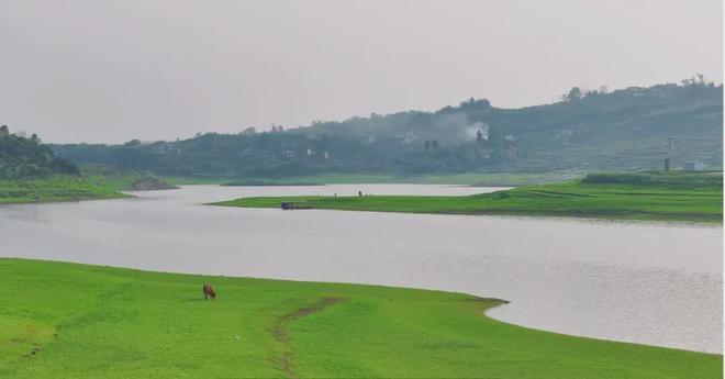抖音黑料网 二是个别带有特定目的