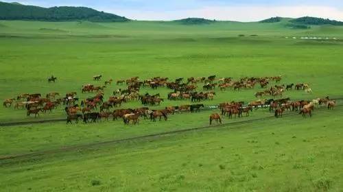 wannabeyours视频 情绪剪辑或饭拍现场