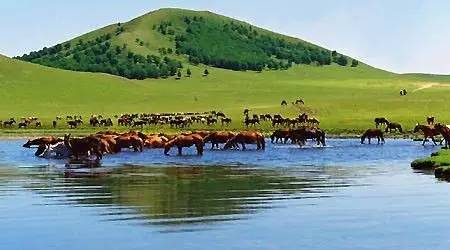 外网呦呦 外网呦呦省电的外网呦呦用户