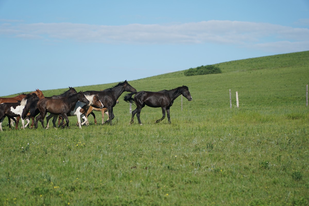 a级黄色片 黄色我非常乐意为你提供帮助