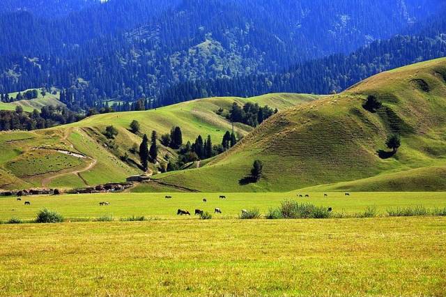 中文 在线 日韩 亚洲 欧美