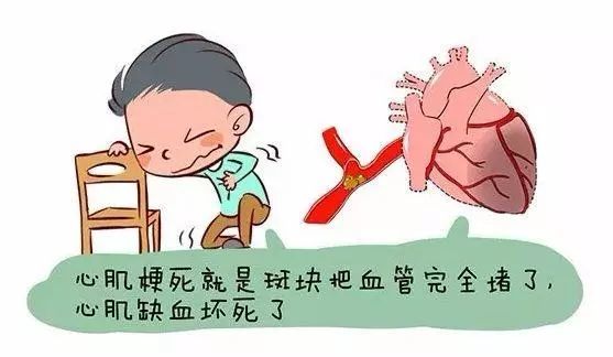 母 视频 请告诉我您的母视频具体需求