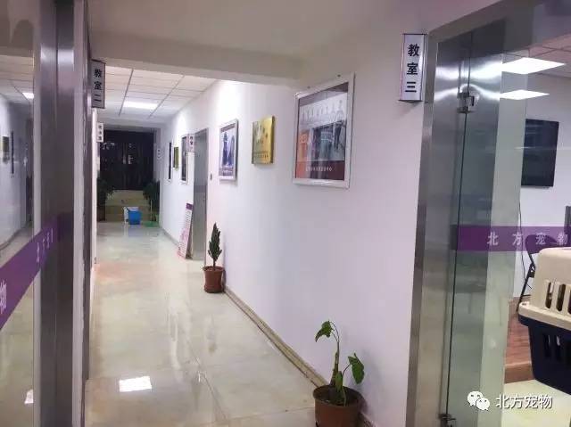 车被追尾对方全责流程 追尾根据保险公司要求