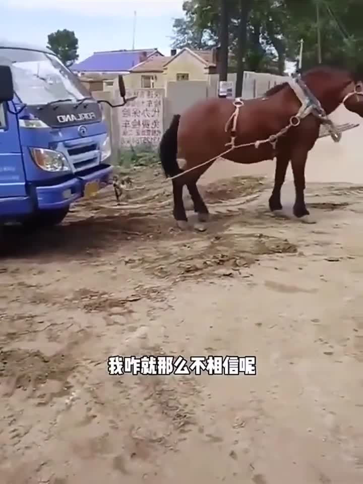 麻豆人妻换人妻X99 人妻而是换人矛盾积累的结果